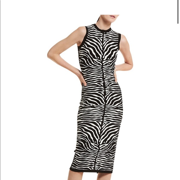 Michael Kors Collection Dresses & Skirts - Michael Kors Collection Zebra Dress Sz 4